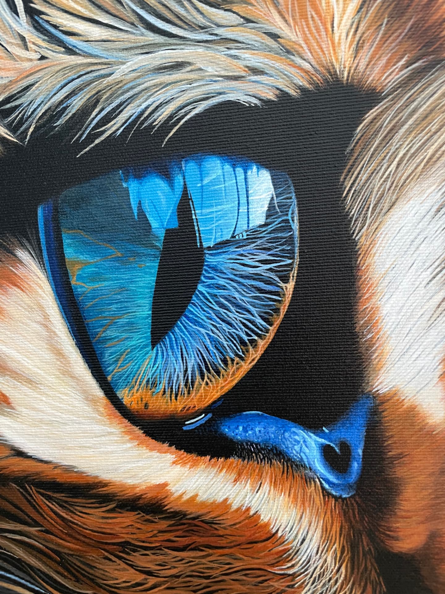 Acrylgemälde eines Katzenauges von Adriana Widmer